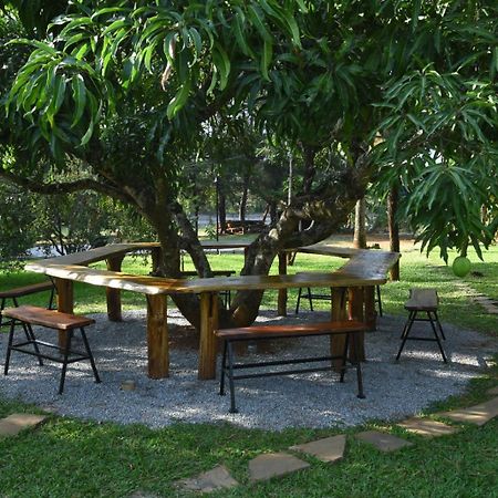 Scenic Acres Holiday Home Chikmagalūr Dış mekan fotoğraf